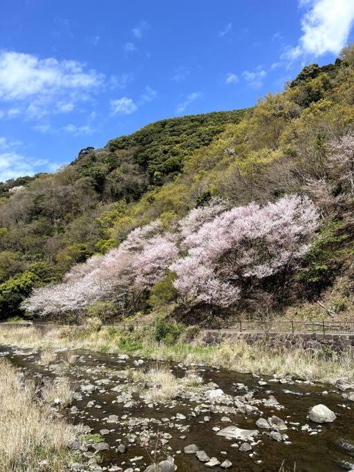 沼津戸田湾の古民家一軒貸切宿 釣り ハイキング 海水浴 ツーリングにおすすめ ภายนอก รูปภาพ